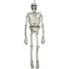 Amscan 54 in. Halloween Life Size Skeleton