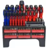 Best Value Screwdriver and Bit Set (101-Piece)