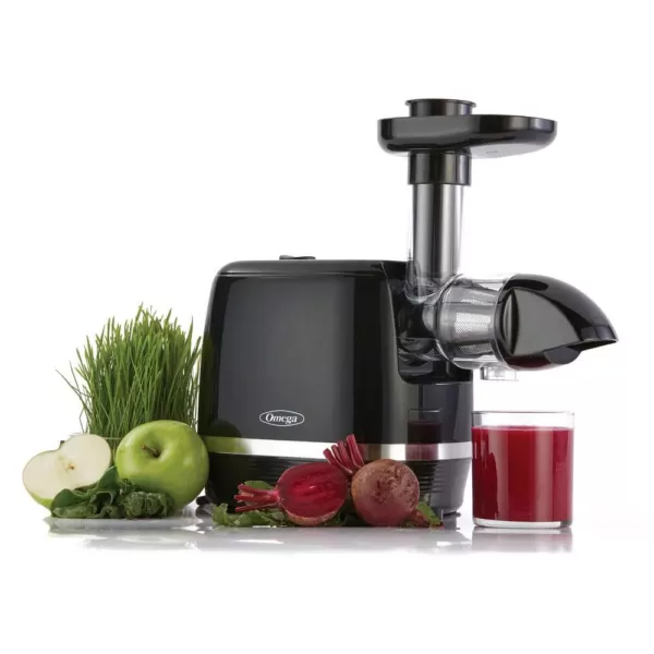 Omega Cold Press Black 365-Juicer Slow Masticating Juice Extractor