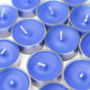 Zest Candle 1.5 in. Blue Tealight Candles (50-Pack)