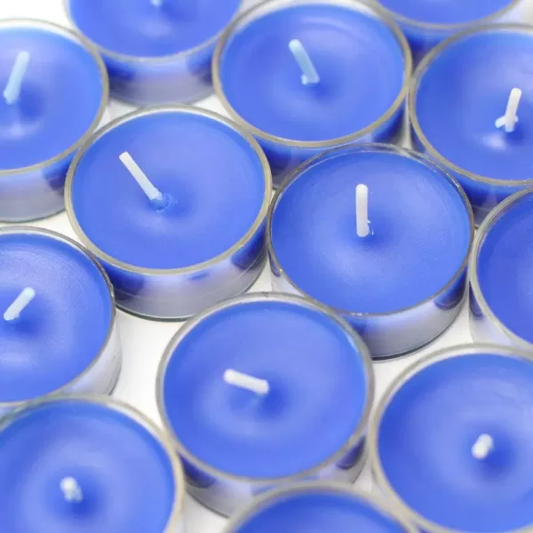 Zest Candle 1.5 in. Blue Tealight Candles (50-Pack)