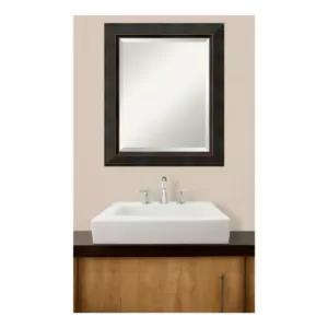 Amanti Art Signore 21 in. W x 25 in. H Framed Rectangular Bathroom Vanity Mirror in Bronze