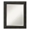 Amanti Art Signore 21 in. W x 25 in. H Framed Rectangular Bathroom Vanity Mirror in Bronze