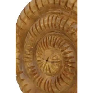 LITTON LANE Brown Nautilus Shell Teak Wood Sculpture on Reclaimed Wood StandB