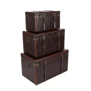 LITTON LANE Globetrotter Wood and Matte Brown Leather Case (Set of 3)