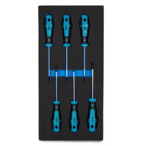 Capri Tools Kontour Star Screwdriver Set with the Mechanic's Tray (6-Piece)