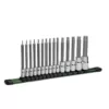 Capri Tools Long Star Bit Socket Set (15-Piece)