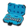 Capri Tools Advanced Series Metric Hex Bit Socket Set (13-Piece)