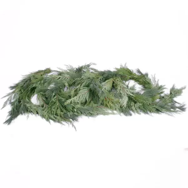 VAN ZYVERDEN 25 ft. Live Fresh Cut Pacific Northwest Princess Pine and Cedar Mix Coil Holiday Garland