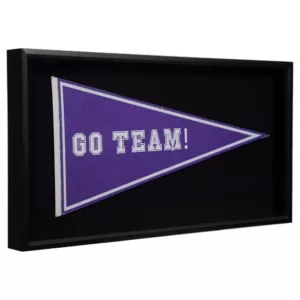 Pinnacle Pennant Display Case 13.7 in. x 7.7 in. Black Picture Frame