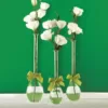 Two's Company 3-Sizes Sleek and Chic with Sage Green Ribbon Includes Clear Teardrop Vases  (Set of 3)