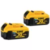 DEWALT 20-Volt MAX XR Premium Lithium-Ion 5.0Ah Battery Pack with Bluetooth Connectivity (2-Pack)