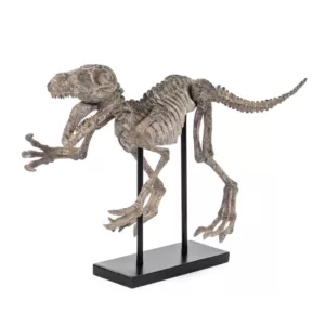 Zentique Polyresin Distressed Brown/Grey Velociraptor on Black Base