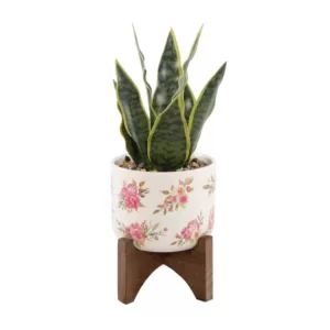 Flora Bunda 12 in. Faux Snake Plant in Flower Print White Ceramic Pot on Wood Stand