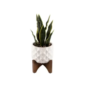 Flora Bunda 12.5 in. Faux Snake Plant in White Dimple Pattern Ceramic Pot on Wood Stand