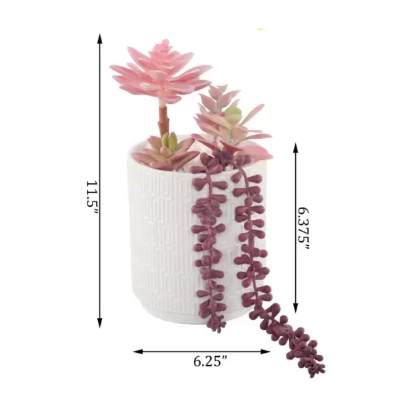 Flora Bunda 12 in. Pink Succulents in 5 in. Greco Ceramic Pot