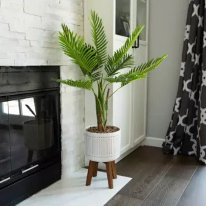 Flora Bunda 4 ft. Areca Palm in Ceramic Planter on Wood Stand