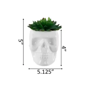 Flora Bunda 4.5 in. x 3.5 in. Artificial Succulent in White Ceramic Sugar Skull