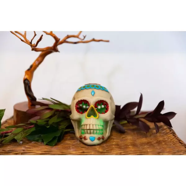 Flora Bunda 7 in. x 5 in. Polyresin Halloween Lighted Day of The Dead Skull with Color Changing LED Lights