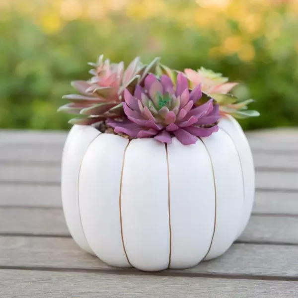 Flora Bunda 8 in. H Fall Harvest Artificial Plant Faux Succulents Garden in 6.26 in. Cream Ceramic Pumpkin Pot with Gold Line