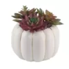 Flora Bunda 8 in. H Fall Harvest Artificial Plant Faux Succulents Garden in 6.26 in. Cream Ceramic Pumpkin Pot with Gold Line