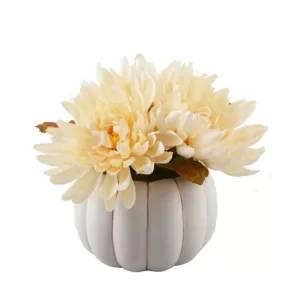 Flora Bunda 5 in. H Fall Harvest Artificial Plant Cream White Faux Mums in 4 in. Cream Ceramic Pumpkin Pot with Gold Line