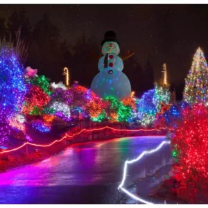 Fraser Hill Farm 20 ft. Jolly Snowman Christmas Inflatable with Lights