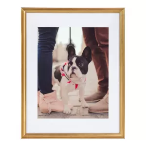 Kate and Laurel Adlynn 14 in. x 18 in. matted to 11 in. x 14 in. Gold Picture Frames (Set of 3)