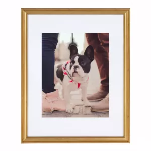 Kate and Laurel Adlynn 11 in. x 14 in. matted to 8 in. x 10 in. Gold Picture Frames (Set of 4)