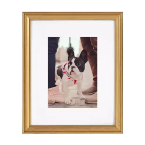 Kate and Laurel Adlynn Gold Picture Frames (Set of 10)