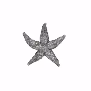 IMAX Magali Silver Starfish Wall Decors (Set of 3)