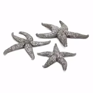 IMAX Magali Silver Starfish Wall Decors (Set of 3)