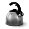 Mr. Coffee Steamline 2 Qt. Tea Kettle