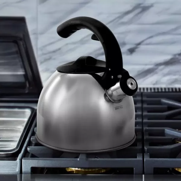 Mr. Coffee Steamline 2 Qt. Tea Kettle