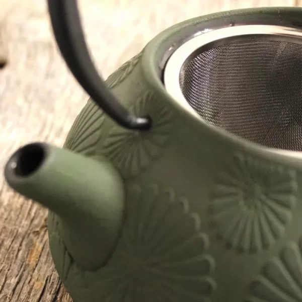 BergHOFF Cast Iron 1.2 Qt. Dark Green Teapot