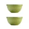 Mason Cash In The Forest Hedge Hog Green Mixing Bowl (Set of 2)