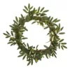 Nearly Natural 16 in. Olive Artificial Wreath