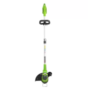 Greenworks 12 in. 24-Volt Battery Cordless String Trimmer with 2.0 Ah USB Battery and Charger Included ST24B215