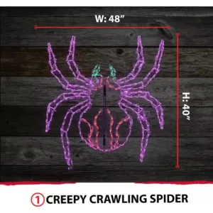 Haunted Hill Farm 48 in. x 40 in. Creepy Crawling Spider Indoor/Outdoor LED Halloween Window Light