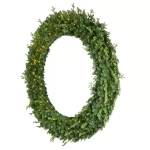 Home Accents Holiday 60 in. Jackson Prelit Artificial Wreath with 300-Low Voltage LED Micro Dot Lights