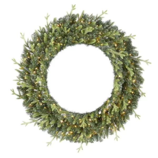 Home Accents Holiday 48 in. Jackson Prelit Led Artificial Wreath with 200-Low Voltage LED Micro Dot Lights