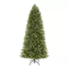 Home Decorators Collection 7.5 ft Lachlan Balsam Fir Slim LED Pre-Lit Artificial Christmas Tree with 460 Color Changing Lights with 7 Functions