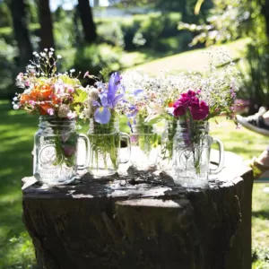 Libbey County Fair 12-Piece Clear Glass Drinking Jar Set