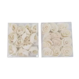 LITTON LANE White Sola Boxed Carnation and Ranunculus Flowers (Set of 2)