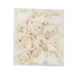 LITTON LANE White Sola Boxed Carnation and Ranunculus Flowers (Set of 2)