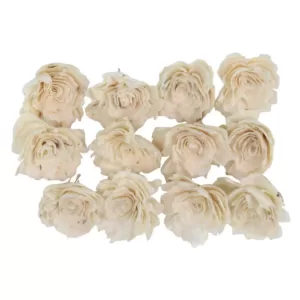 LITTON LANE White Sola Boxed Carnation and Rose Flowers (Set of 2)