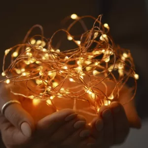 LUMABASE 30-Light Warm White Battery Operated Mini Copper LED String Lights (2-Count)