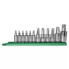 Mayhew Torx Socket Bit Set (12-Piece)