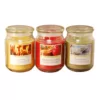 LUMABASE Scented Candles Holiday Collection in 18 oz. Glass Jars (3 Count)