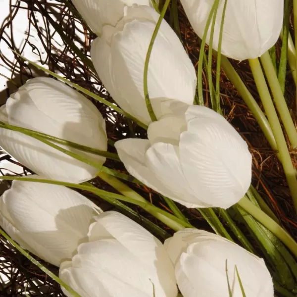 National Tree Company 24 in. White Tulip Wreath